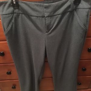Daisy Fuentes Dress Pants